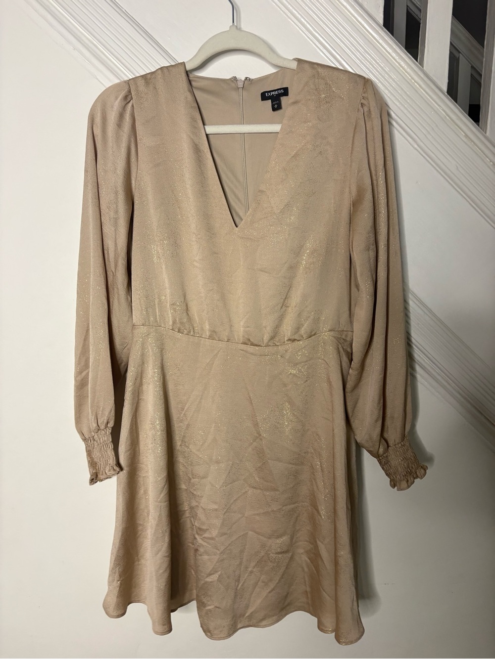 Express Champagne V-Neck Long Sleeve Mini Dress